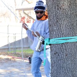 Tree Care Experts