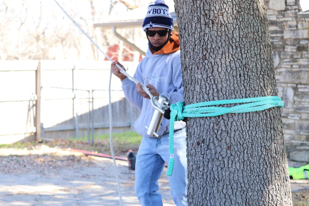 TREE CARE EXPERTS Updated September 2024 14 Photos Killeen, Texas