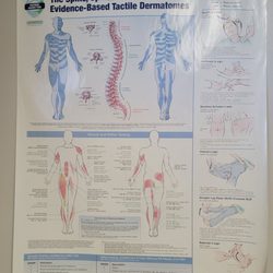 Pain Evaluation & Management Center - .