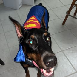 Diesel :) Diesel :)