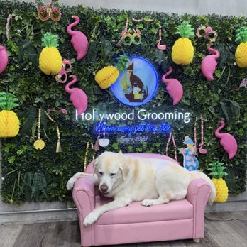 Hollywood Pet Center - Pet Stores Near Me - Burbank, California Hollywood Pet Center - Pet Stores Near Me - Burbank, California