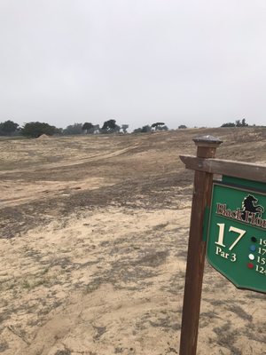 Bayonet & Black Horse by null