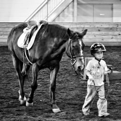 Bergen Equestrian Center