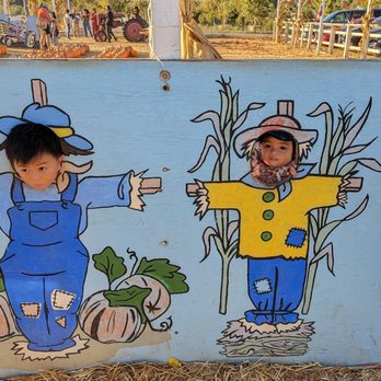 Rancho Bernardo Pumpkin Farm - Cheese! - Pumpkin Patches Near Me - San Diego, California Rancho Bernardo Pumpkin Farm - Cheese! - Pumpkin Patches Near Me - San Diego, California