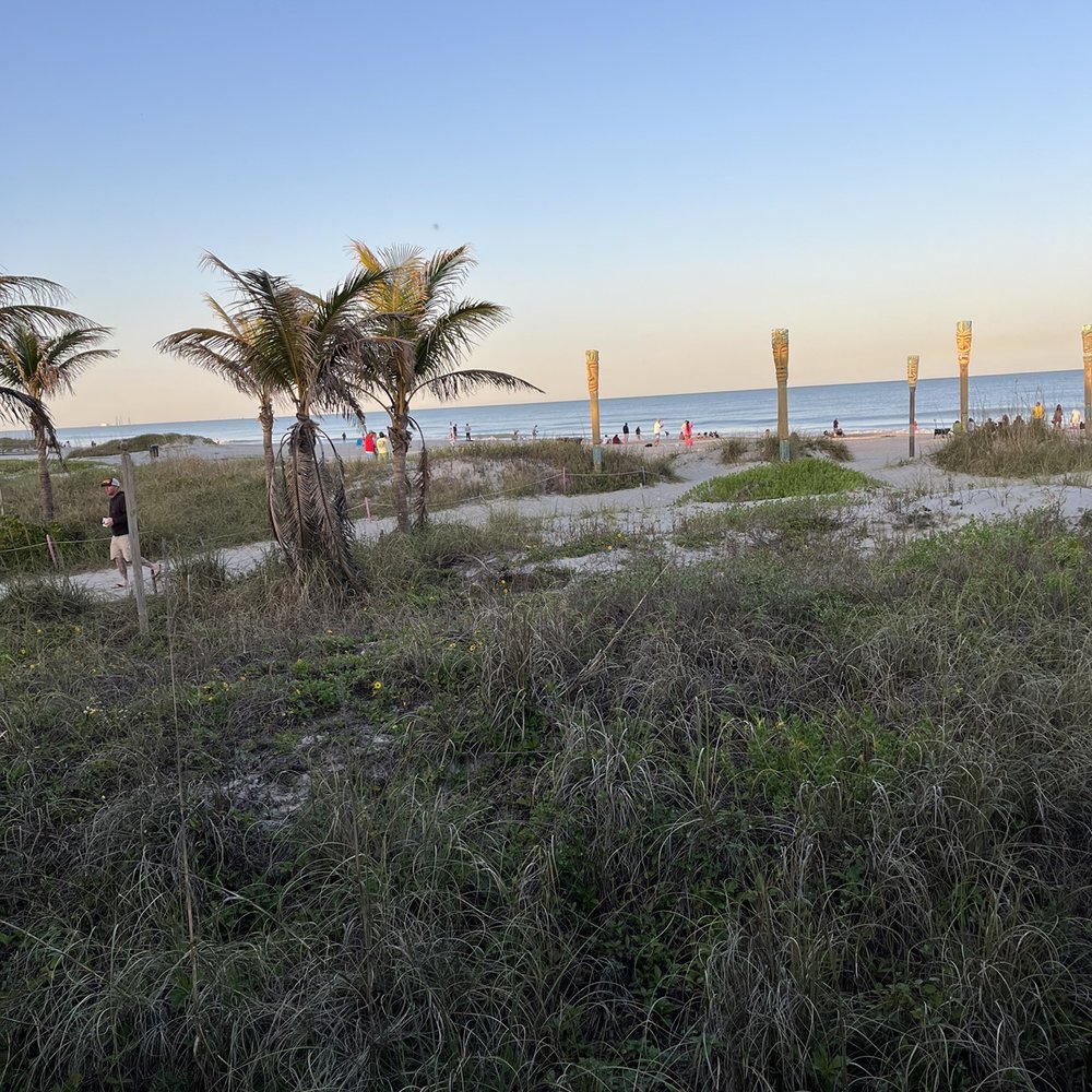 Coconuts On The Beach - Great view - Bars Near Me - Cocoa Beach, Florida Coconuts On The Beach - Great view - Bars Near Me - Cocoa Beach, Florida