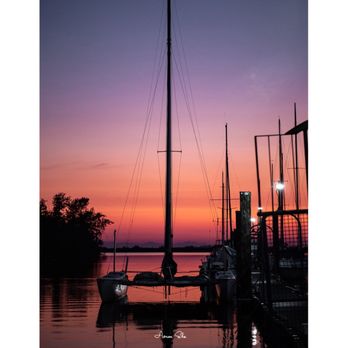 Elgin Heritage Park - photo by Aaron Sha Photo(Instagram) - Parks Near Me - Surrey, British Columbia Elgin Heritage Park - photo by Aaron Sha Photo(Instagram) - Parks Near Me - Surrey, British Columbia