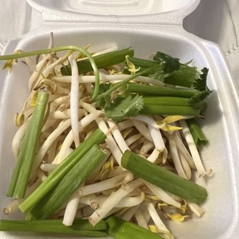 Emerald Thai Restaurant - seriously??? 1 teeny tiny sprig of cilantro??? RIDICULOUS!!! - Thai Near Me - Davie, Florida