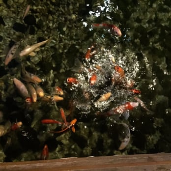 Tokyo Wako - Koi! - Sushi Bars Near Me - Arcadia, California Tokyo Wako - Koi! - Sushi Bars Near Me - Arcadia, California