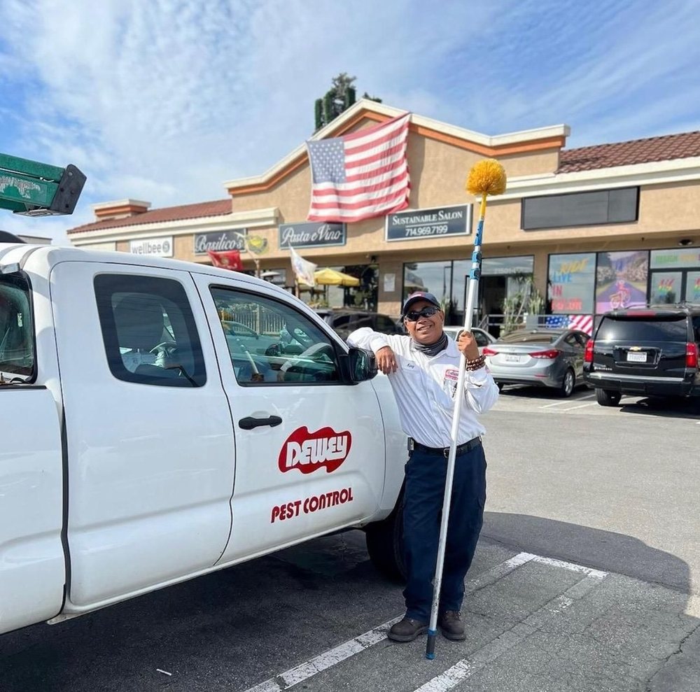 Pest Control Long Beach