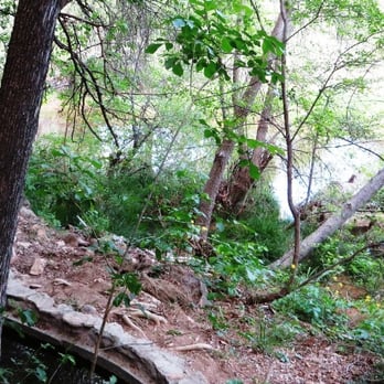 Montezuma Well - Landmarks & Historical Buildings Near Me - Rimrock, Arizona