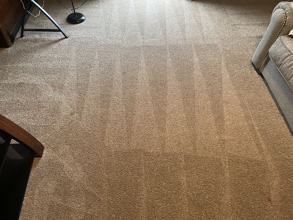 ALL PRO QUALITY CLEANING 32 Photos & 21 Reviews 10451 Mill Run Cir