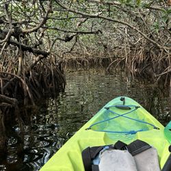 Florida Bay Outfitters - Mangrove tunnel