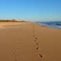 Photo of By the Beach Massage