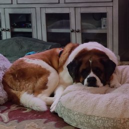 Charlie gets special care Charlie gets special care