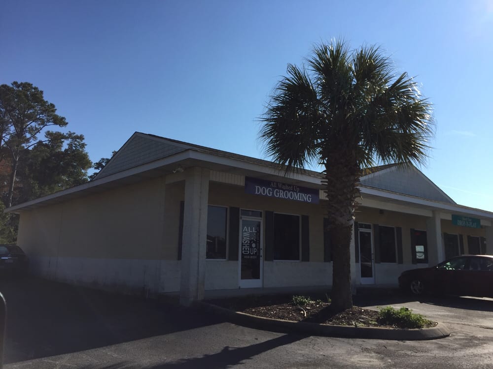 All Washed Up Pet Salon & Boutique Image
