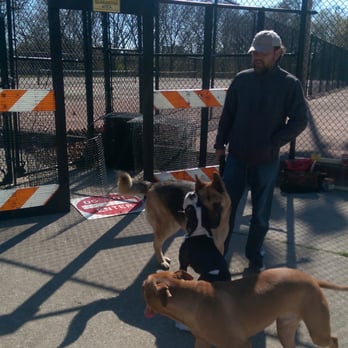 Jackson Bark - Kobe had a ball at Jackson Bark today! - Dog Parks Near Me - Chicago, Illinois
