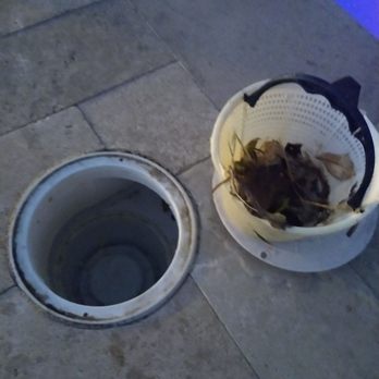 Low Buck Pools - Pool Cleaners Near Me - San Jose, California