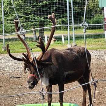 North Pole Alaska - Parks Near Me - North Pole, Alaska
