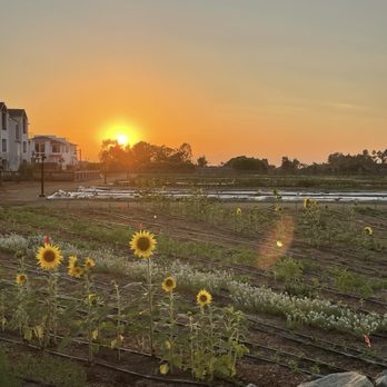 Fox Point Farms - Venues & Event Spaces Near Me - Encinitas, California Fox Point Farms - Venues & Event Spaces Near Me - Encinitas, California