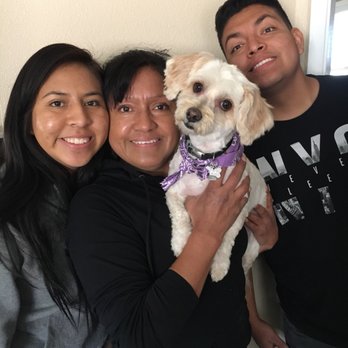Dee Dee's Dog Spot - Every time Mojo comes back from Dee Dee's my family raves about his new cut! - Pet Groomers Near Me - Ventura, California Dee Dee's Dog Spot - Every time Mojo comes back from Dee Dee's my family raves about his new cut! - Pet Groomers Near Me - Ventura, California