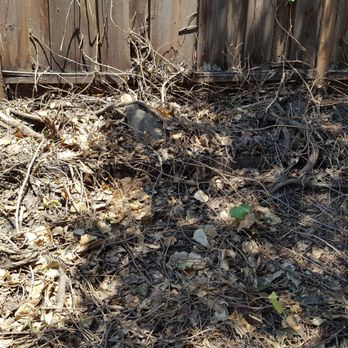 Oak Grove Tree Care - Tree Services Near Me