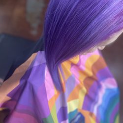 Salon Afton - Purples