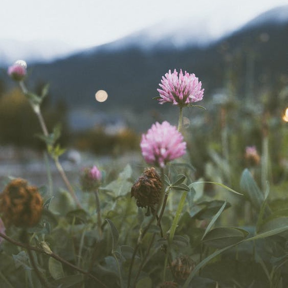 THE BEST 10 DOCTORS near KENSINGTON, BERLIN, CT - Updated 2026 - Hours -  Yelp