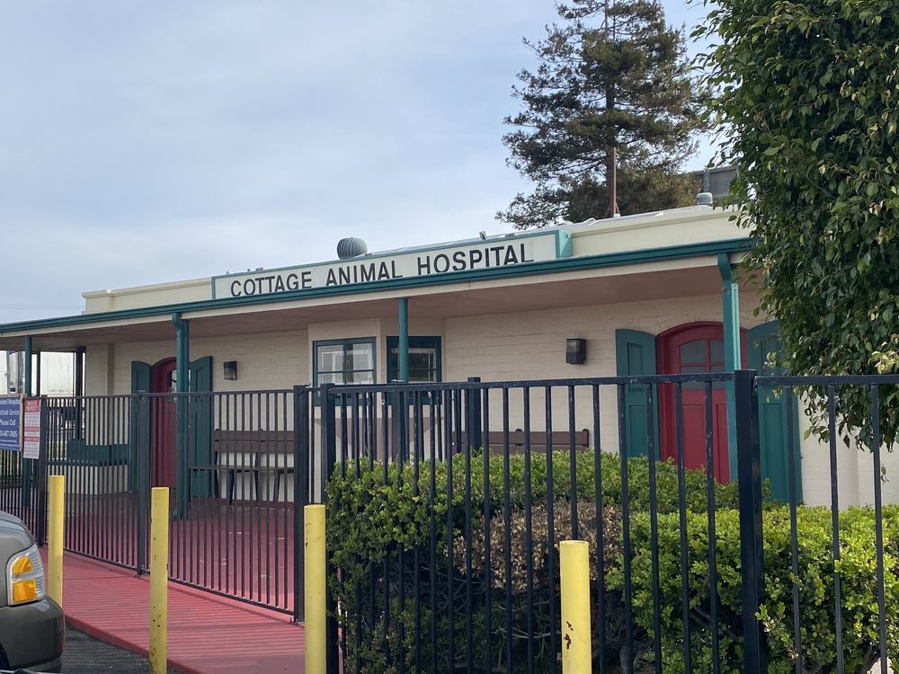 COTTAGE ANIMAL HOSPITAL Updated October 2024 19 Photos & 51 Reviews