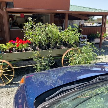 Carleton Farms - Tomato plants are 699 and I got two - Fruits & Veggies Near Me - Lake Stevens, Washington