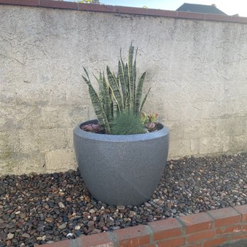 D Landscape & Hardscape - Landscaping Near Me