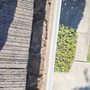 Photo of Trigueros Window and Gutter Cleaning