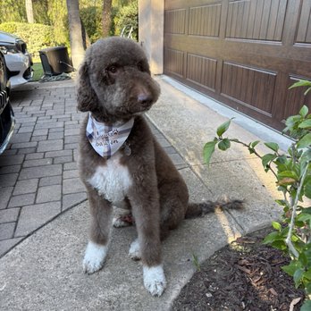 LA Pets Grooming - Pet Groomers Near Me - Diamond Bar, California