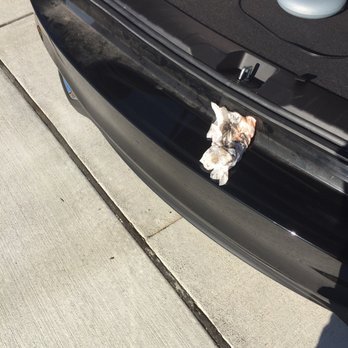 Autobell Car Wash - 12/22/16: They didn't clean my bumper at all, so I wiped it to show you the filth they left behind! - Car Wash Near Me - Durham, North Carolina Autobell Car Wash - 12/22/16: They didn't clean my bumper at all, so I wiped it to show you the filth they left behind! - Car Wash Near Me - Durham, North Carolina