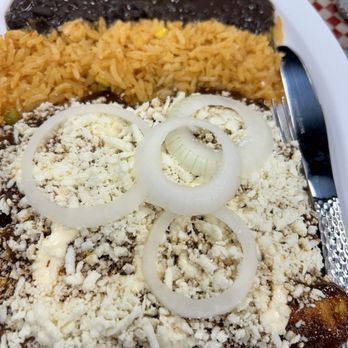 El Sabor Oaxaqueno 2 - Chicken enchiladas en Mole (4) with rice and black beans. - Mexican Near Me - Lawrence Township, New Jersey El Sabor Oaxaqueno 2 - Chicken enchiladas en Mole (4) with rice and black beans. - Mexican Near Me - Lawrence Township, New Jersey