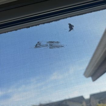 Nice and Fast Painters - Sloppy paint on windows. - Painters Near Me