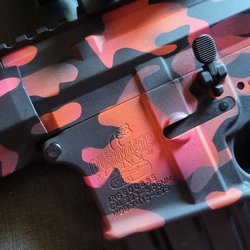Federal Way Discount Guns & Indoor Range - Custom Bushmaster with 2nd Amendment Pride Camouflage