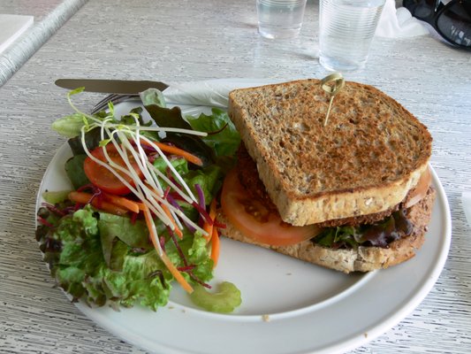 Christchurch Gondola by null