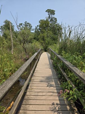 Saugerties Lighthouse by null