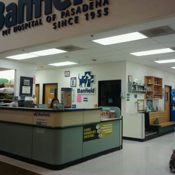Banfield Pet Hospital - Veterinarians Near Me - Pasadena, California