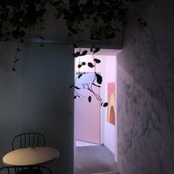 Avocado Club - Inside