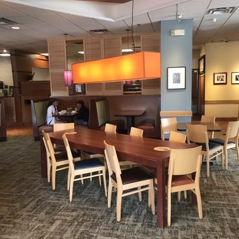 Panera Bread - a dining area with tables and chairs - Sandwiches Near Me - Plant City, Florida Panera Bread - a dining area with tables and chairs - Sandwiches Near Me - Plant City, Florida