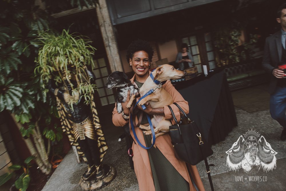 Major Poochy Social Club - pet boarding facility in Los Angeles, CA
