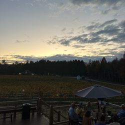 Everleigh Vineyards & Brewing Company - Deck