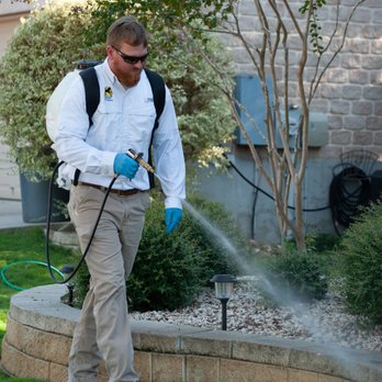 Colt Pest Control - Pest Control Near Me - Schertz, Texas Colt Pest Control - Pest Control Near Me - Schertz, Texas