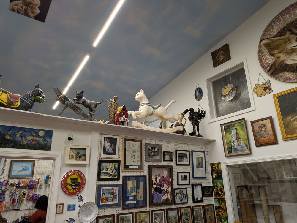 Social spots from The American Museum of the House Cat