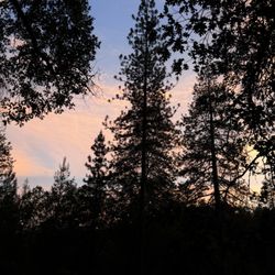 Trail In Rv Campground