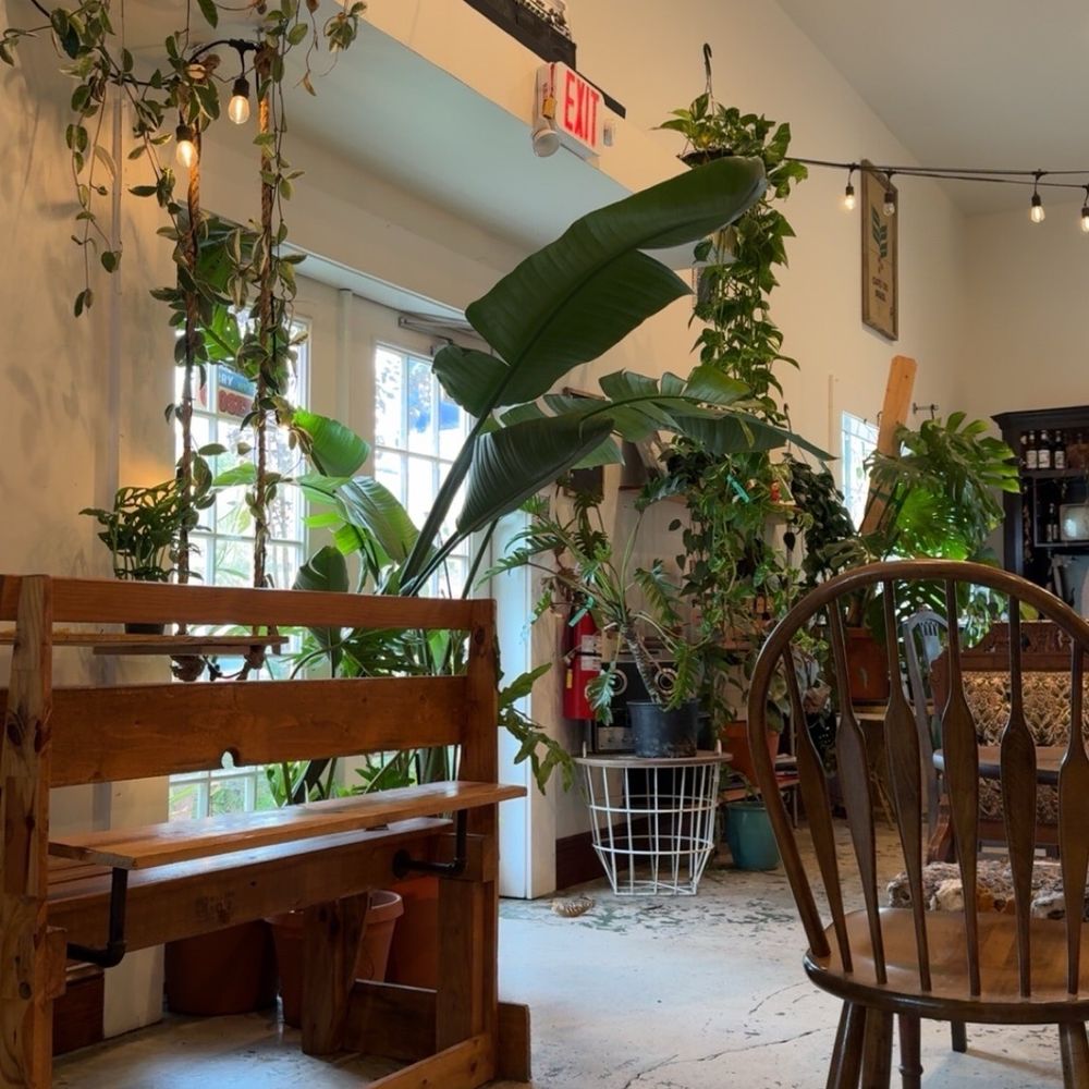 Roots Plants Coffee - Flowers & Gifts Near Me - Slidell, Louisiana Roots Plants Coffee - Flowers & Gifts Near Me - Slidell, Louisiana