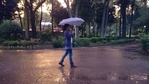 Parque México by null