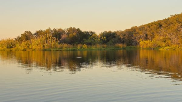 Lake Mineral Wells State Park by null