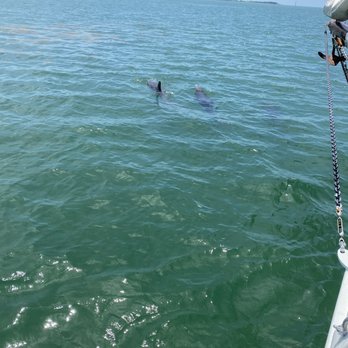 Danger Charters - Dolphins - Rafting/Kayaking Near Me - Key West, Florida